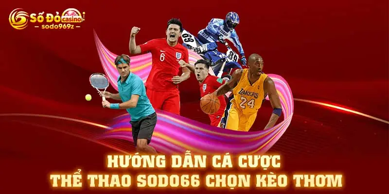 Hướng dẫn cá cược thể thao SODO66 chọn kèo thơm