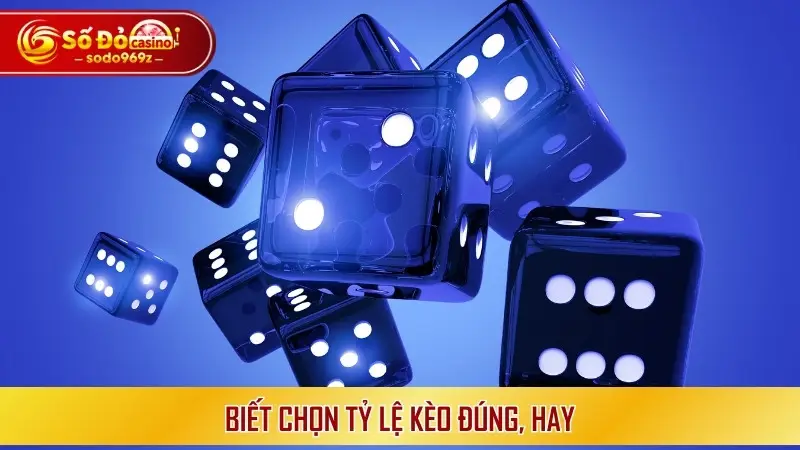 Biết chọn tỷ lệ kèo đúng, hay