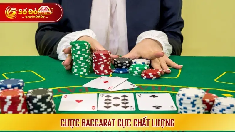 Cược Baccarat cực chất lượng