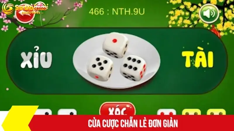 Cửa cược chẵn lẻ đơn giản