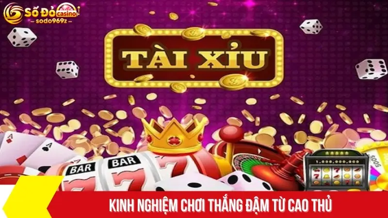 Kinh nghiệm cá cược thắng đậm từ cao thủ